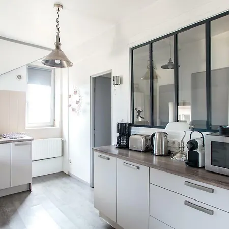Appartement Cour De La Cigogne Colmar